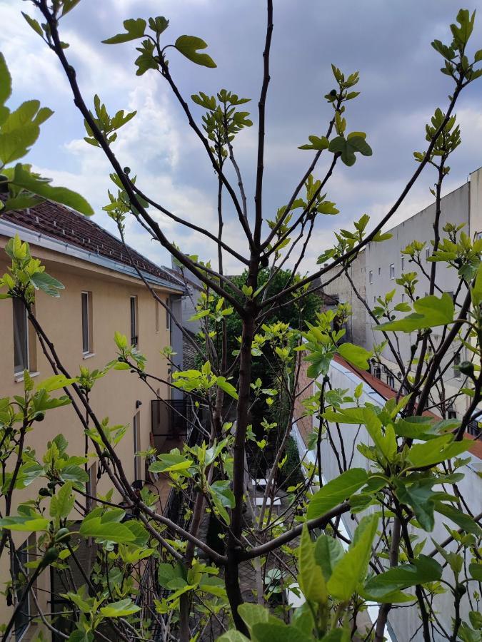 Centar Novi Sad-Apartman No 3 Exterior foto