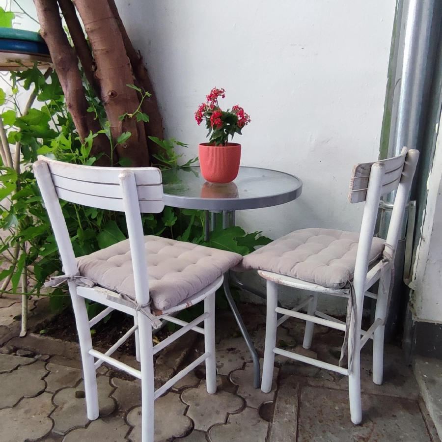 Centar Novi Sad-Apartman No 3 Exterior foto